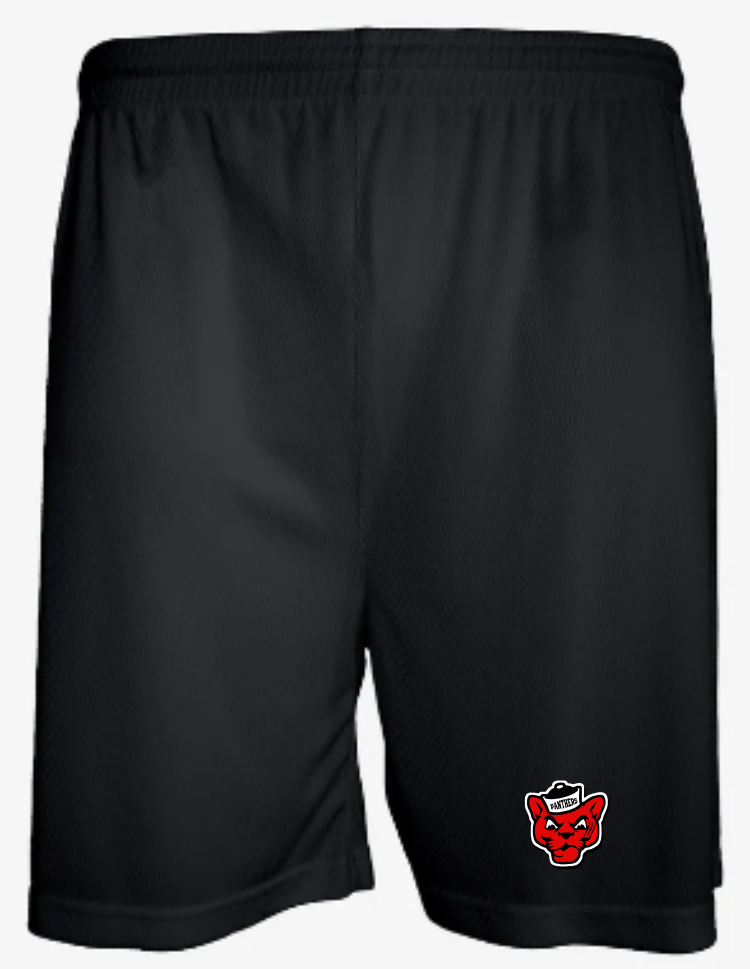 Aero Mesh Men's Short (5" Inseam)