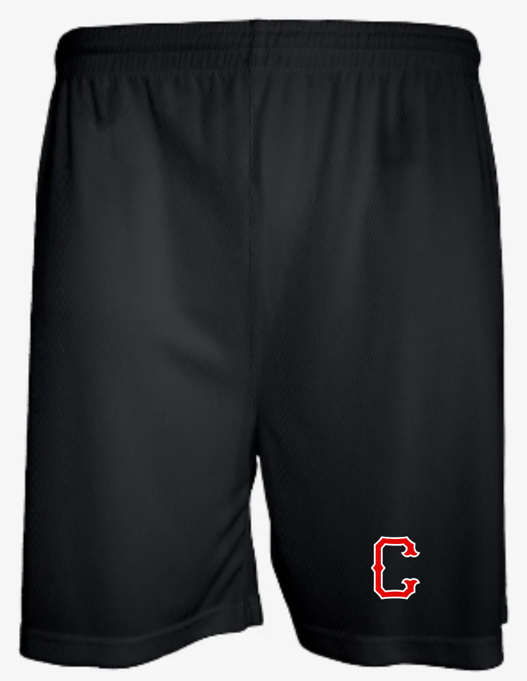 Aero Mesh Men's Short (5" Inseam)