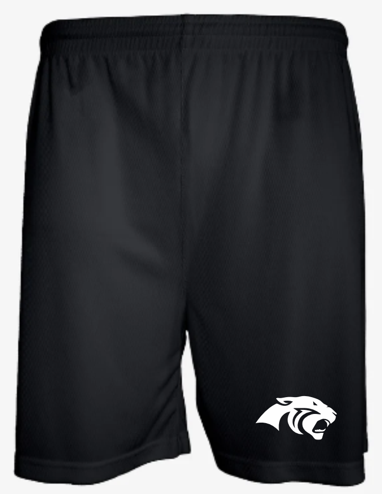 Aero Mesh Men's Short (5" Inseam)