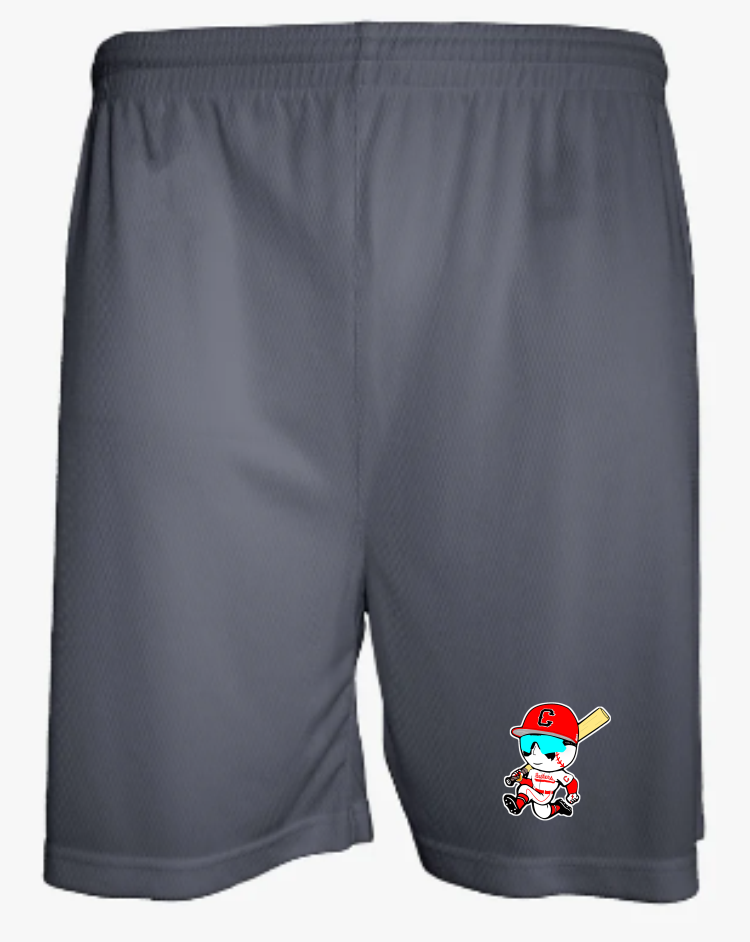Aero Mesh Men's Short (5" Inseam)