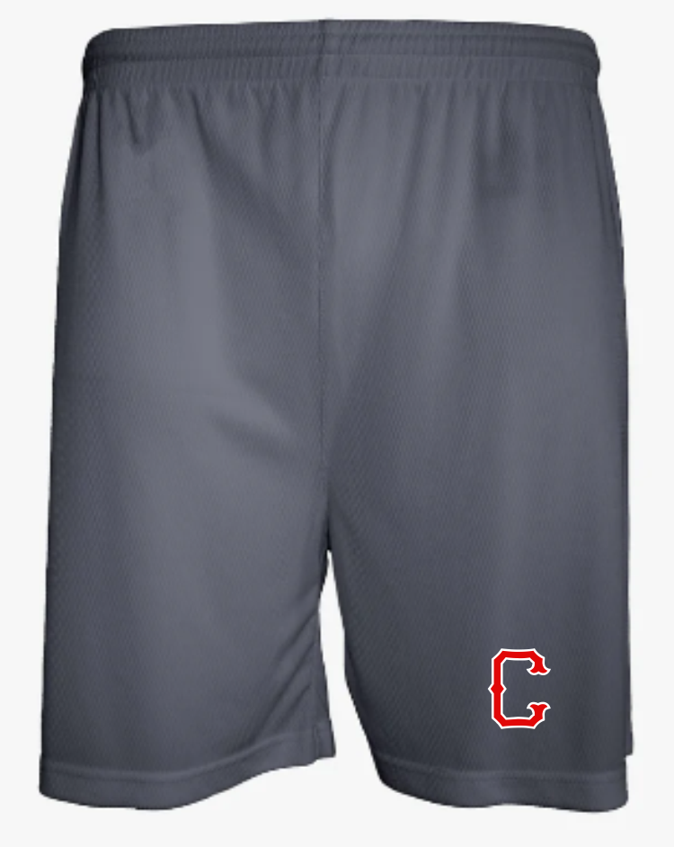 Aero Mesh Men's Short (5" Inseam)