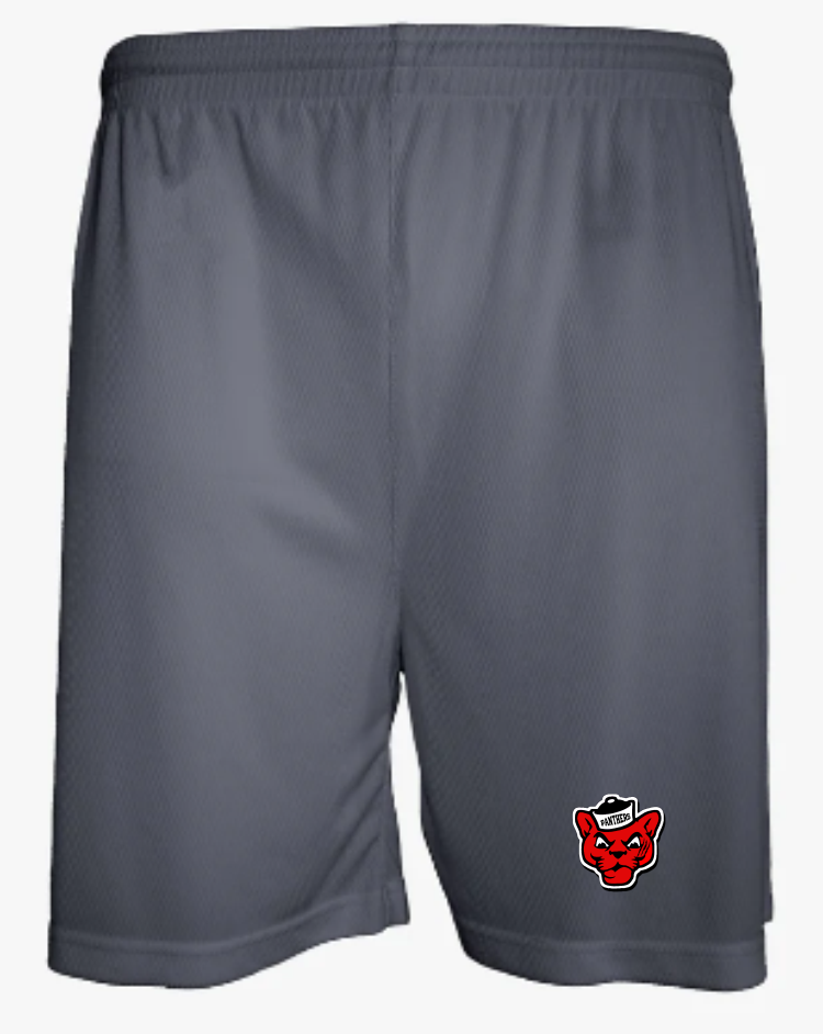 Aero Mesh Men's Short (5" Inseam)