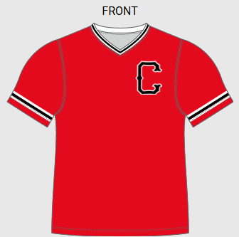 Fully Sublimated Custom Fan Wear Pullover Jersey