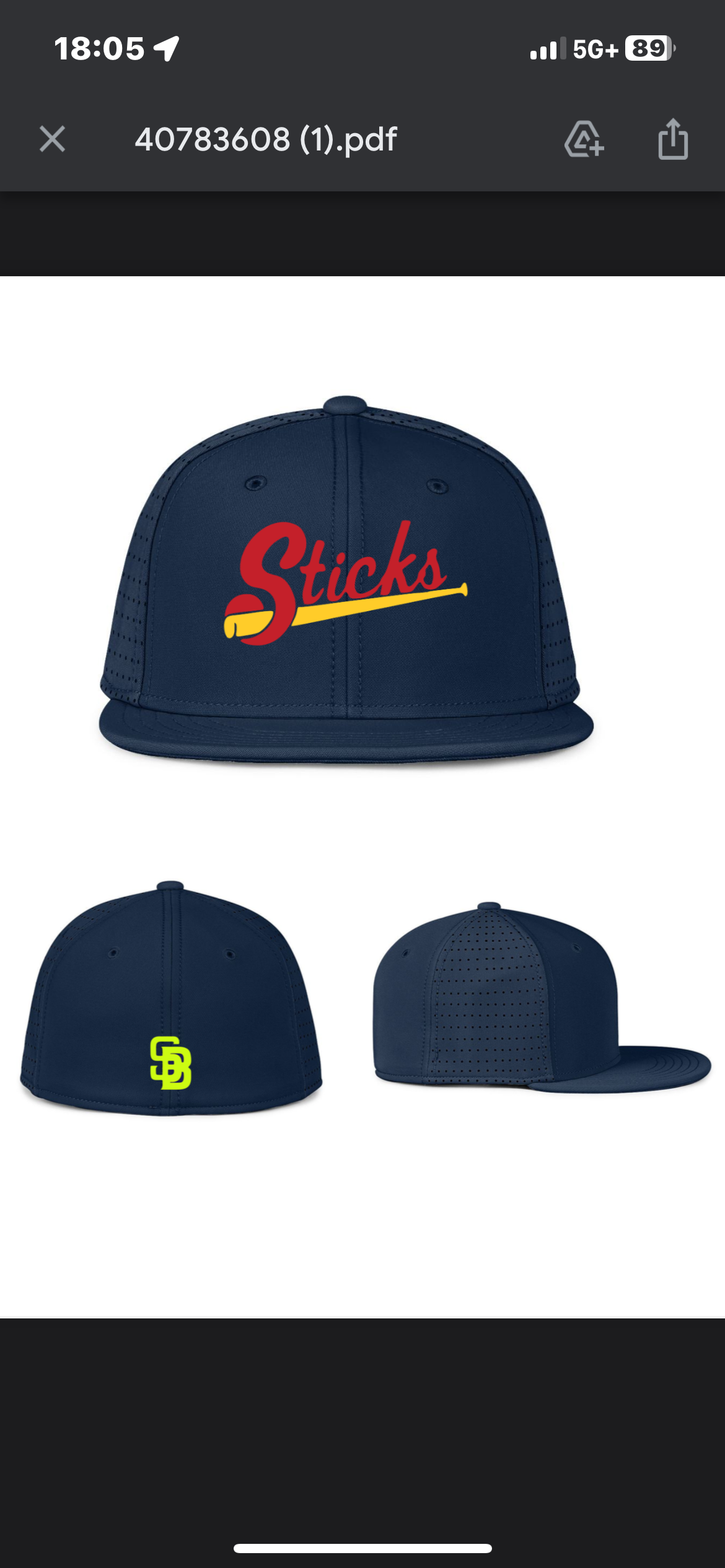 Sticks SB Hat