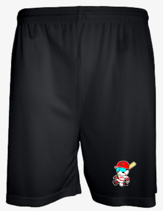 Aero Mesh Men's Short (5" Inseam)