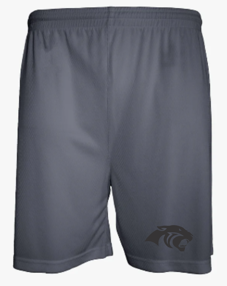 Aero Mesh Men's Short (5" Inseam)