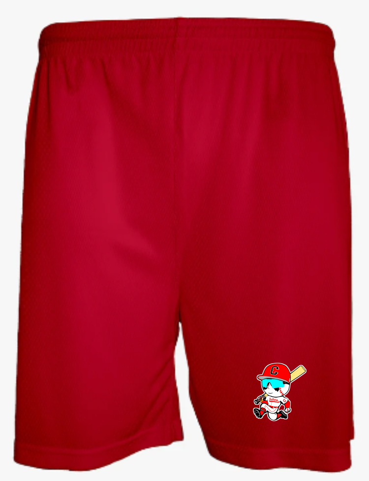 Aero Mesh Men's Short (5" Inseam)