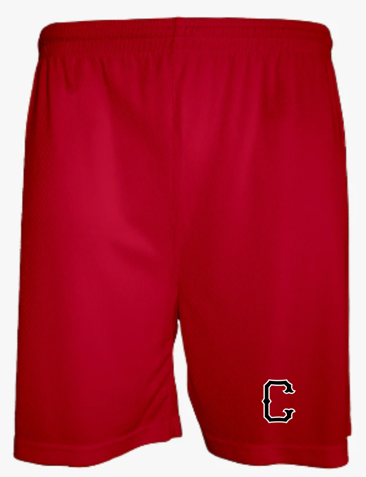 Aero Mesh Men's Short (5" Inseam)