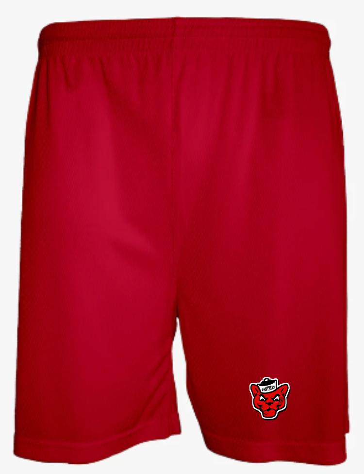Aero Mesh Men's Short (5" Inseam)