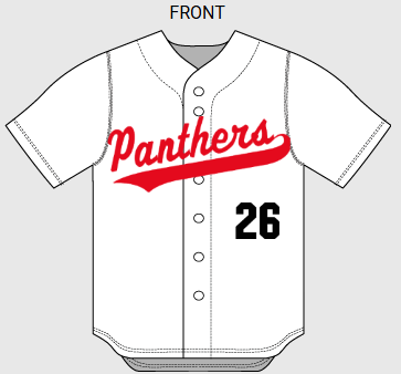 Fully Sublimated Custom Fan Wear Full Button Jersey